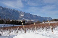 Weinstrasse Highlights Winter