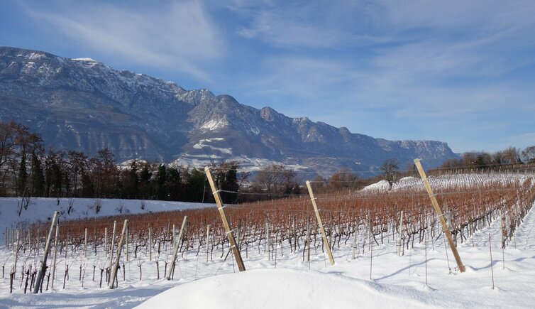 Weinstrasse Highlights Winter