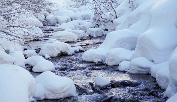 weinstrasse Fruehbucher Winter