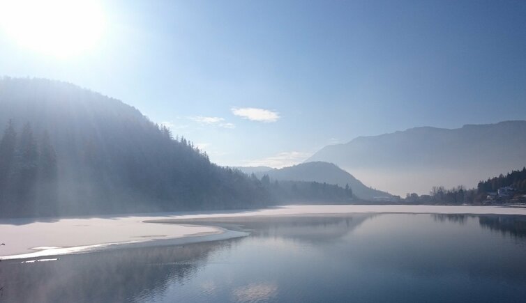 weinstrasse Natur und Landschaft Winter